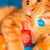 Generic image alt