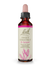 Power Bach Sweet Chestnut No30 - Ανθοΐαμα Για Την Αντιμετώπιση Της Απελπισίας Ή Αποθάρρυνσης, 20ml